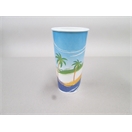 Paradiso 24 oz Paper Cup