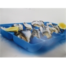 OYSTER TRAYS COLOUR BLUE